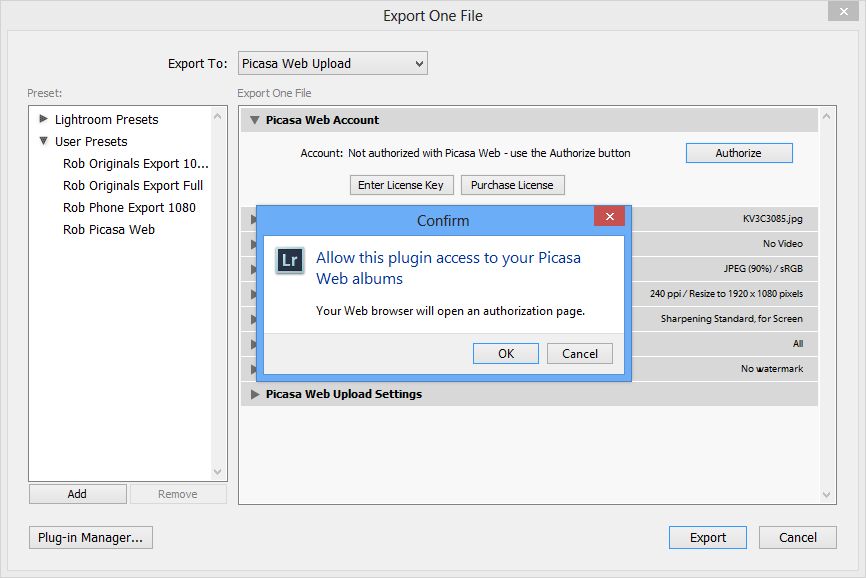 Export window - Authorise 2
